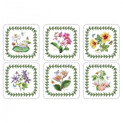 Pimpernel glāžu paliktņi Exotic Botanic Garden 6 gb